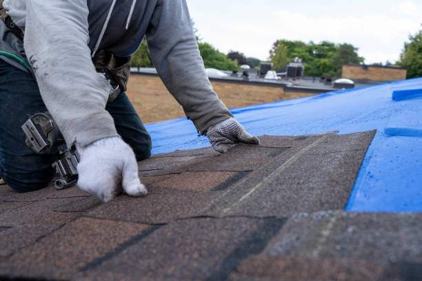 Roof Gutter Cleaning in Larkspur, CA