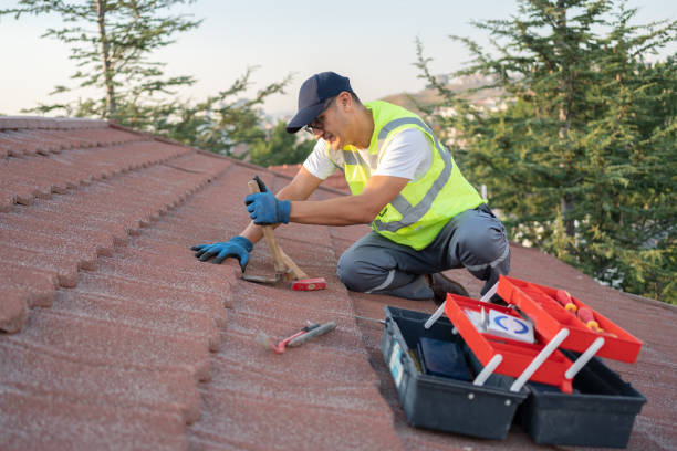 Best Roof Replacement Cost  in Larkspur, CA