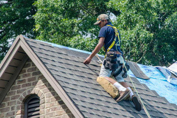 Quick and Trustworthy Emergency Roof Repair Services in Larkspur, CA